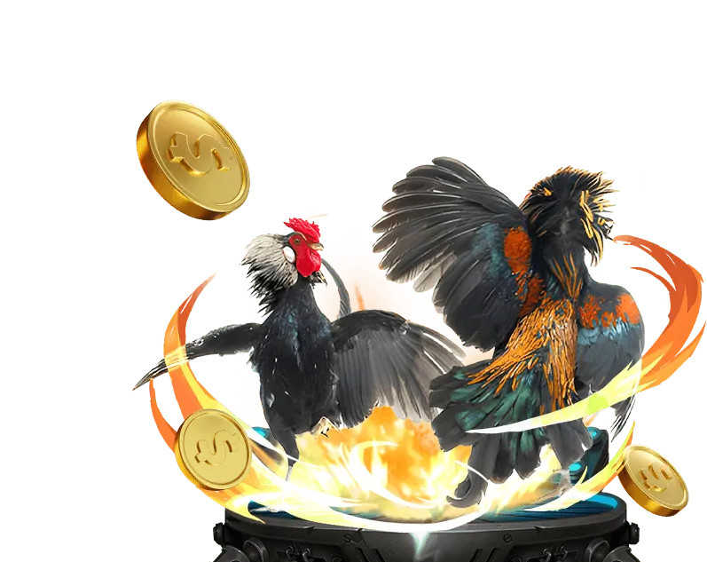 Giao diện đá gà trực tuyến trên ứng dụng Xóc Đĩa